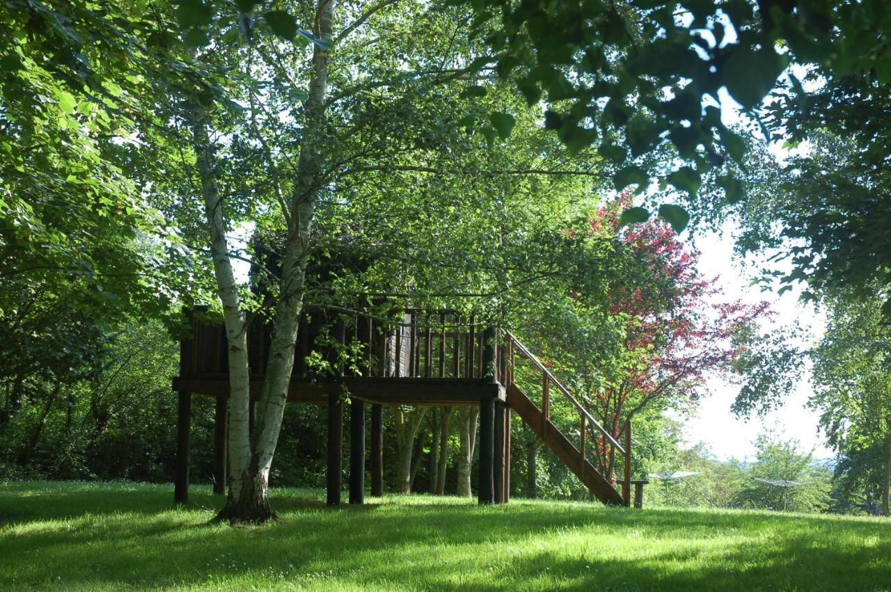 Le Logis Du Pressoir Self Catering Gites In Beautiful 18Th Century Estate In The Heart Of The Loire Valley With Heated Pool And Extensive Grounds. Les Bois-d'Anjou Exteriör bild